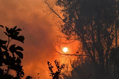 Da Li Su Toplotni Talasi Nova Normala