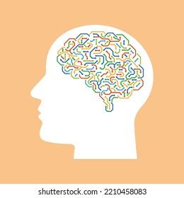 Schematic Representation Human Brain Colored Diagrams Stock Vector