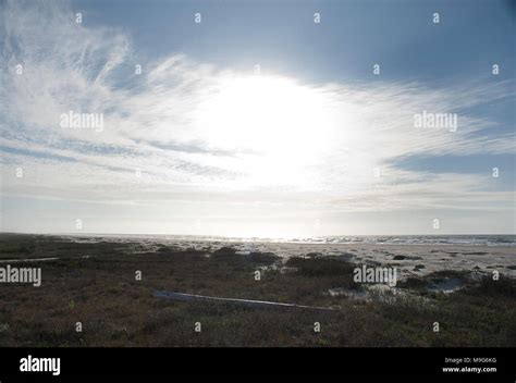 Matagorda bay beach hi-res stock photography and images - Alamy