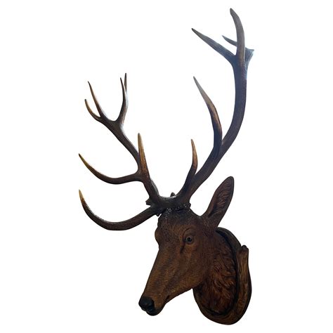 Exceptional Black Forest Carved Wood Deer Head With Antler Mount At 1stDibs