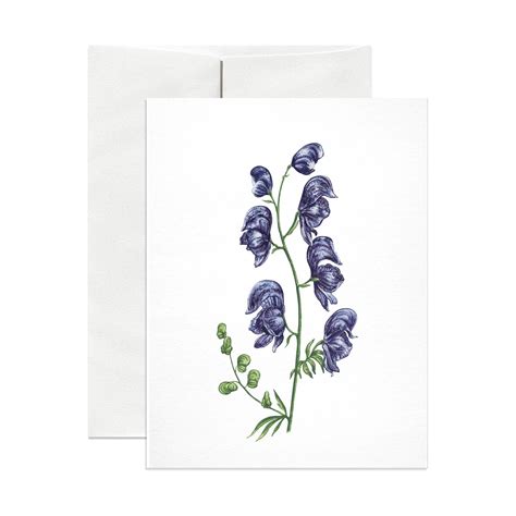 Wolfsbane – Joli Jardin