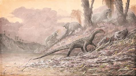 Archosaur fossils force scientists to rethink dinosaur evolution - Gulf ...