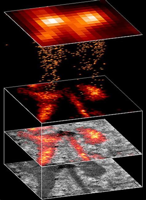 Definition Palm Storm Microscopy Palm Storm