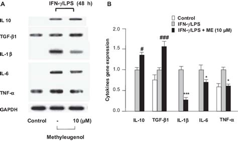 Methyleugenol Alters The Mrna Expression Levels Of Pro And Anti Infl