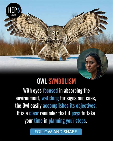 owl symbolism myths meaning  totem spirit power animal hep