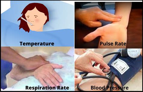 Vital Signs Or Cardinal Signs TPR And Blood Pressure