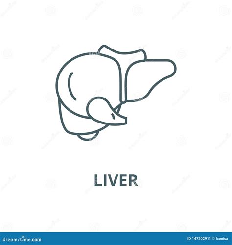 Liver Vector Line Icon Linear Concept Outline Sign Symbol Stock Vector Illustration Of