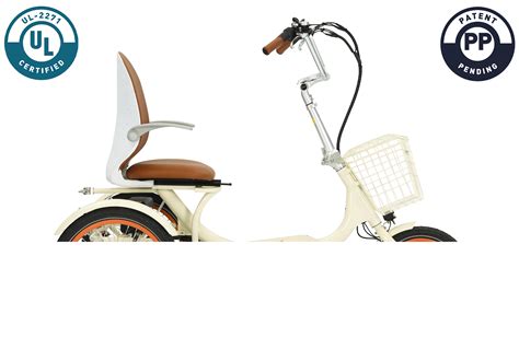 Best Electric Recumbent Bikes