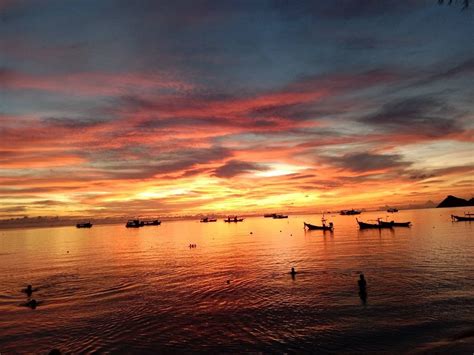 Black Turtle Dive Koh Tao Black Turtle Dive Yorumları Tripadvisor