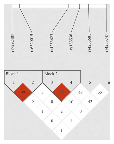 Haplotype block map for tag SNPs in PPARA. | Download Scientific Diagram