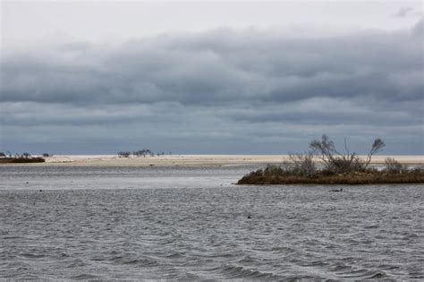 Life's a Trip: Chincoteague Island, Virginia