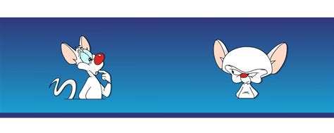 Pinky Pinky And The Brain Fonds Décran Hd Et Images