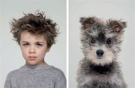 Dogs That Look Like Humans