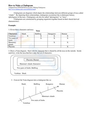 Free Collection of Cladogram Worksheets for Students