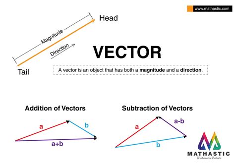 Adding Vectors Worksheets