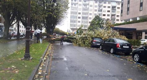 Un Rbol De Grandes Dimensiones Se Desploma Sobre Dos Coches En Lugo