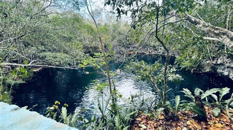 Top Diving Cenotes Tulum All You Need To Know