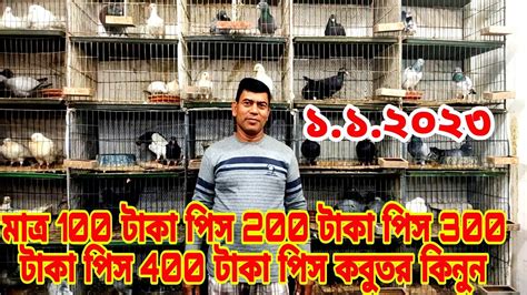 মাত্র 100 টাকা পিস 200 টাকা পিস 300 টাকা পিস 400 টাকা পিস কবুতর কিনুন