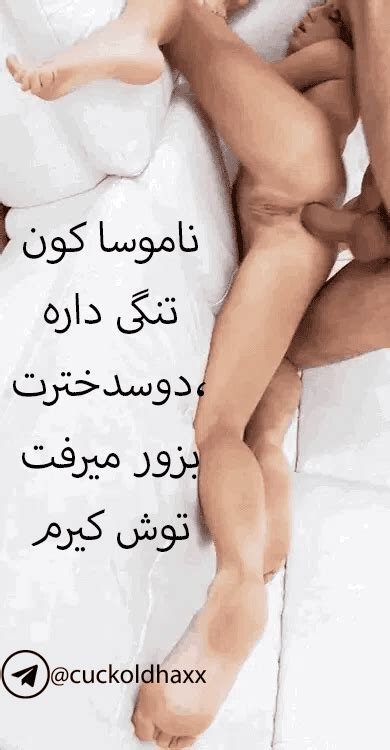 گیف بی غیرتی ایرانی سری ششم