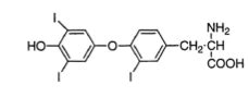 endothyroid hormone flashcards quizlet