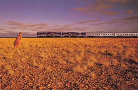 Luxury Indian Pacific Rail Journey D N Perth To Adelaide Indian