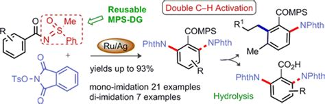 钌催化的 N 甲苯磺酰氧基邻苯二甲酰亚胺对芳烃的 邻 C H单 和二酰亚胺化 Organic Letters X Mol