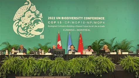 Les négociateurs de la COP15 parviennent à un accord sur le cadre