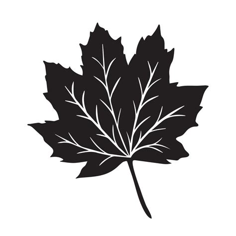 Maple Leaf Black Vector Icon Silhouette Isolated On White Background