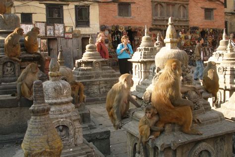 Kathmandu Transit Tour Transit Tour In Kathmandu Nepal