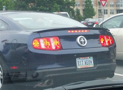 Alright Meow Hand Over Your License And Registration Rfunny
