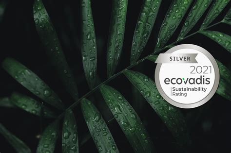 Ecovadis Silver Medal Go Inspire