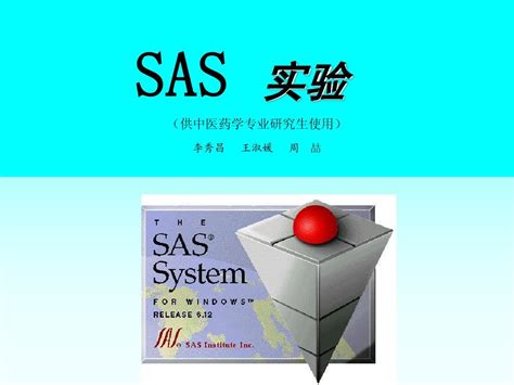 Sas基础word文档在线阅读与下载无忧文档