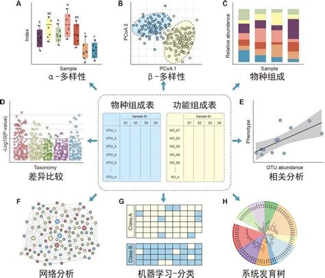 Protein Cell：扩增子和宏基因组数据分析实用指南 生物学