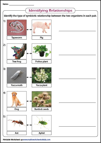 Symbiotic Relationship Lesson Plan