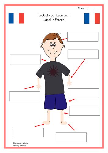 French Lesson And Resources Body Parts Teaching Resources