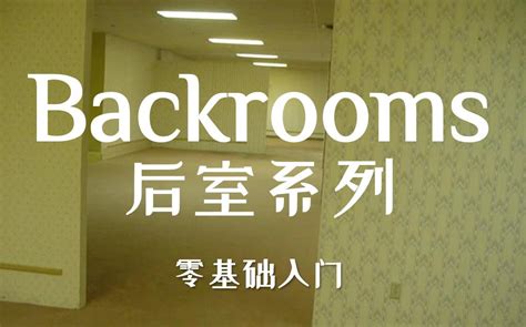 【backrooms后室】第1期 入坑必看基础知识介绍 扎南橘 扎南橘 哔哩哔哩视频