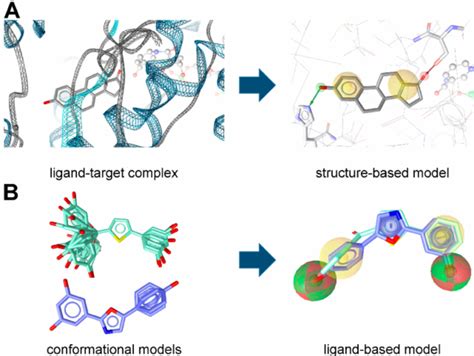 A Structure And B Ligand Based Pharmacophore Model Generation