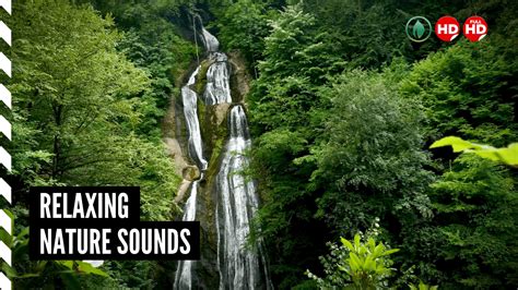 Best Relaxing Nature Sounds Waterfall and Forest. - Relax Nation