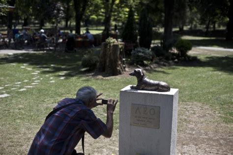 Dog Dies Saving Little Girl Gets Statue Erected In His Honor