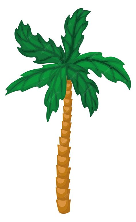 Árvore tropical, selva verde, natureza, palma, planta, isolada, branco