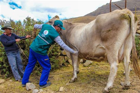 Tumbes MINAGRI despliega estrategias de atención sanitaria en