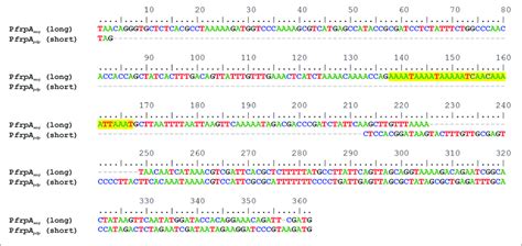 Alignment Of A Long And A Short Pbtb Frpa Intergenic Region Between