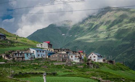 Ecotourism Society Of Himachal Pradesh Pangi