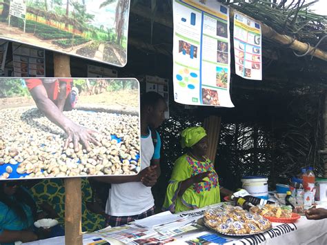 World Food Day. Cashew in Sierra Leone | COOPI