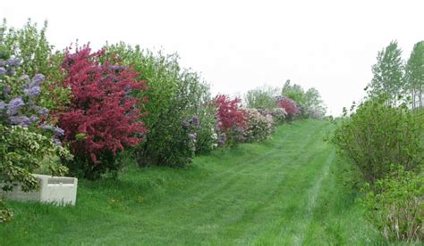 Découvrez Lagroforesterie Et Lagriculture De Régénération