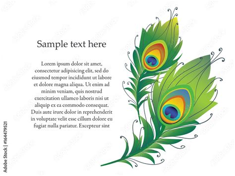 Vector Illustration Of Peacock Feather Stock Vector Adobe Stock