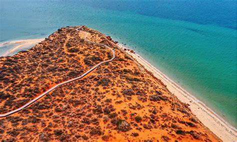 Top Things To Do In Shark Bay Wa Shark Bay Travel Guide