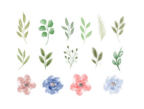 Beautiful collection of leaves and flower watercolor 21689843 Vector Art at Vecteezy