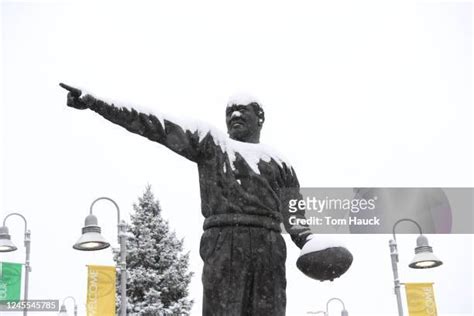 42 Curly Lambeau Photos & High Res Pictures - Getty Images