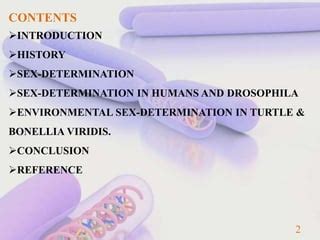 SEX DETERMINATION In Human Drosophila Melanogaster PPT